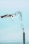 Postmodern Lumina Floor Lamp, Minimalist Italian Design Lamp | Yaacov ...