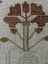 Stag Looking At Bee Tapestry Sampler By Rachel 1831 Oswestry National ...