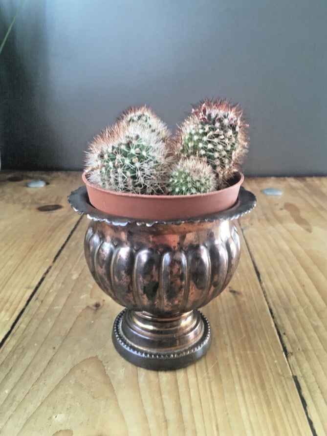 large ceramic indoor flower pots Large Minute Ceramic Plant Pot & Saucer  Green Layer