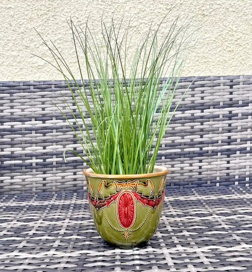 artificial palm plant Tropical Artificial Palm Trees: Tropical Elegance for Home & Pool main image 1